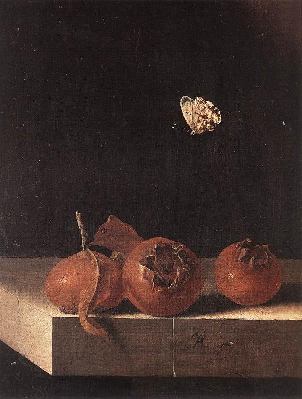 COORTE, Adriaen Three Medlars with a Butterfly df China oil painting art